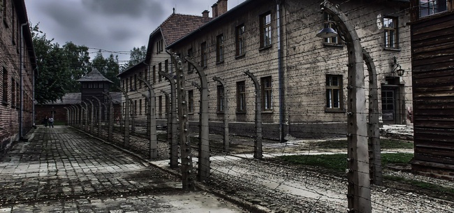 Frases para el día Internacional de Conmemoración del Holocausto