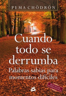 Frases de Cuando todo se derrumba: Palabras sabias para momentos difíciles,  Frases Libro – Mundi Frases .com