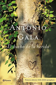 Libro El dueño de la herida