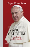 Frases de Evangelii gaudium. Exhortación apostólica