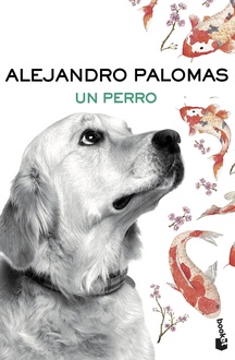 Libro Un perro