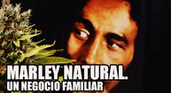 La familia Marley y la marihuana