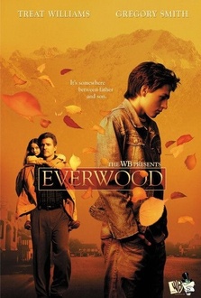 Serie de TV Everwood