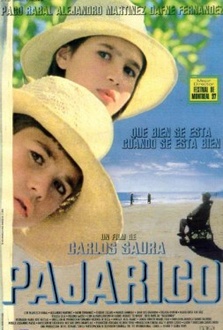 Película Pajarico