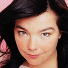 Immagine di Björk