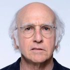 Immagine di Larry David