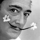 Frases de Salvador Dalí